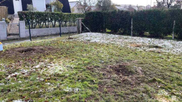 Enlèvement de souches Mondeville